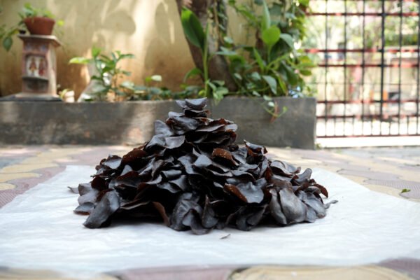 Ragi Papad